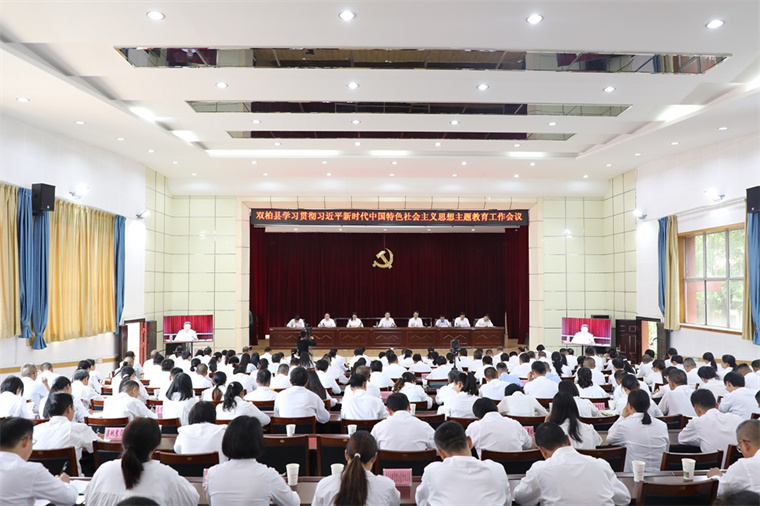 双柏县学习贯彻习近平新时代中国特色社会主义思想主题教育工作会议召开