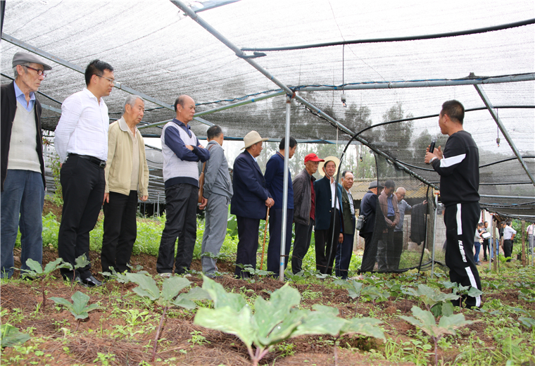 老干部参观考察爱尼山中药材种植基地.jpg