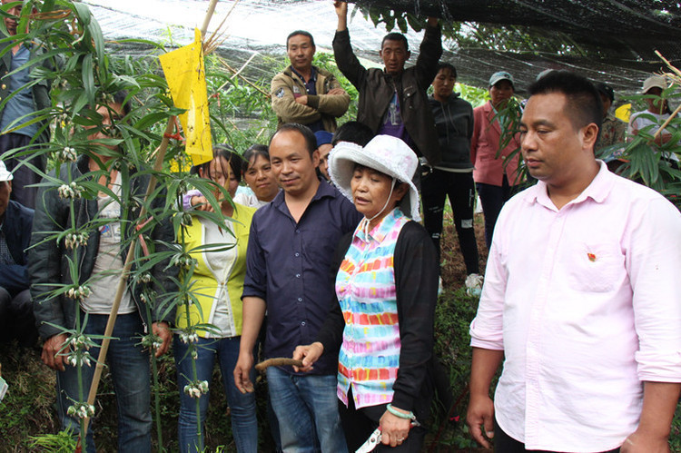 青山绿宝 青山绿宝
