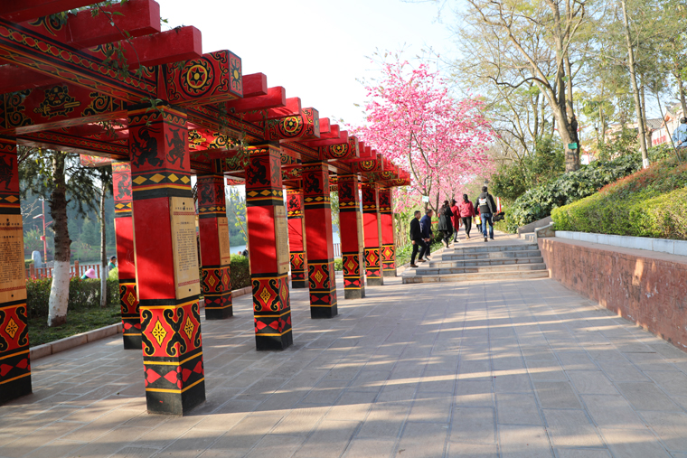 优美的风光 优美的风光